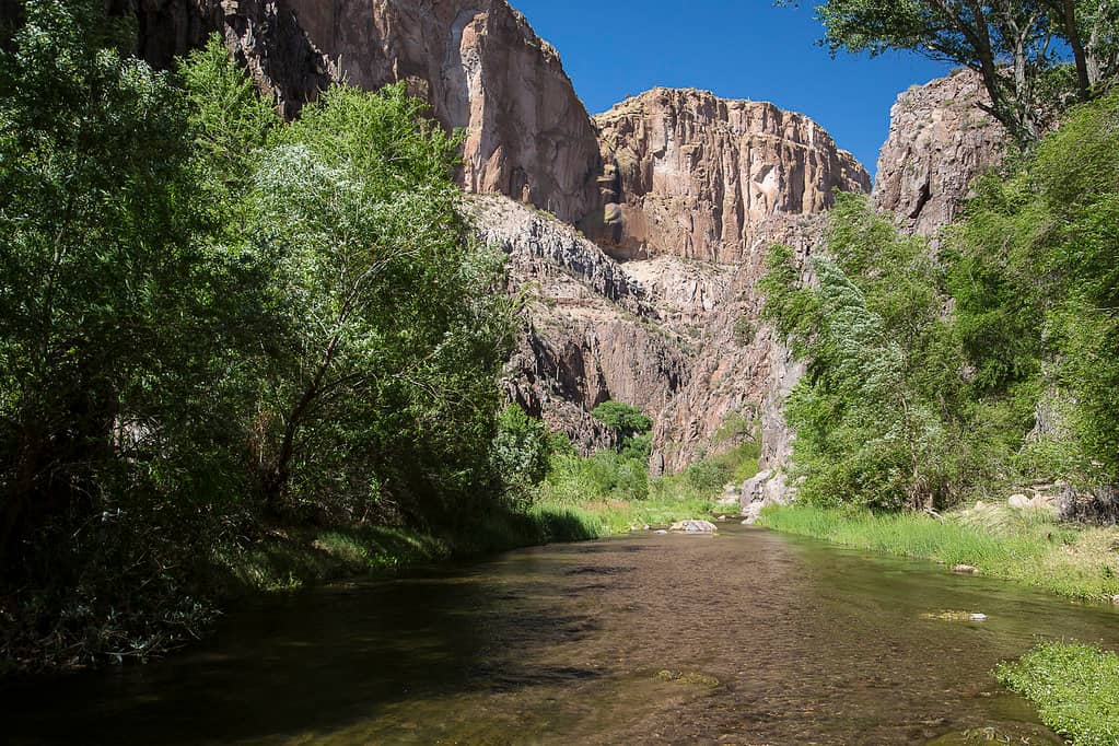 Year-Round Creek