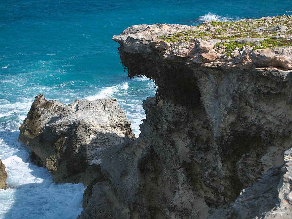 Punta Sur Cliffs