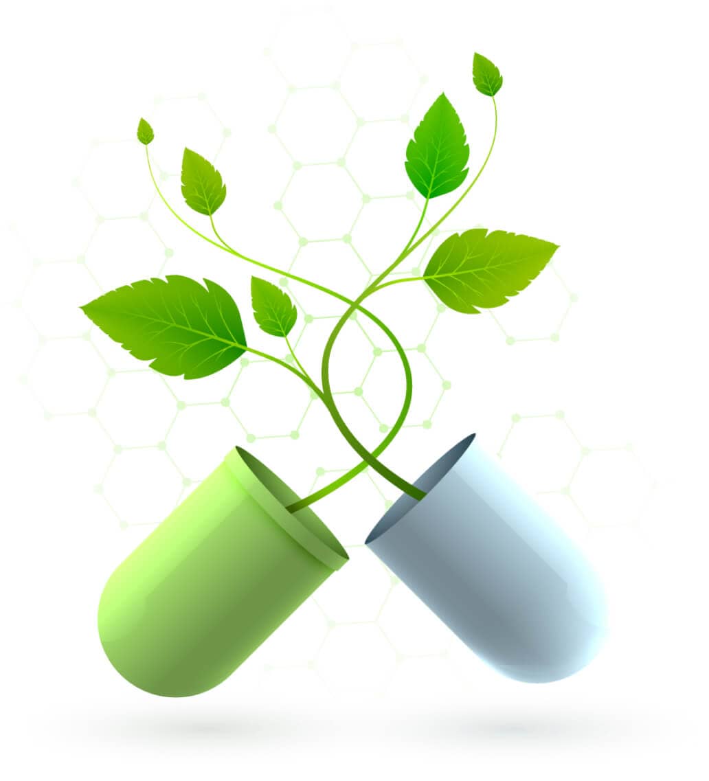 Freshly Prepared Vietnamese Cuisine