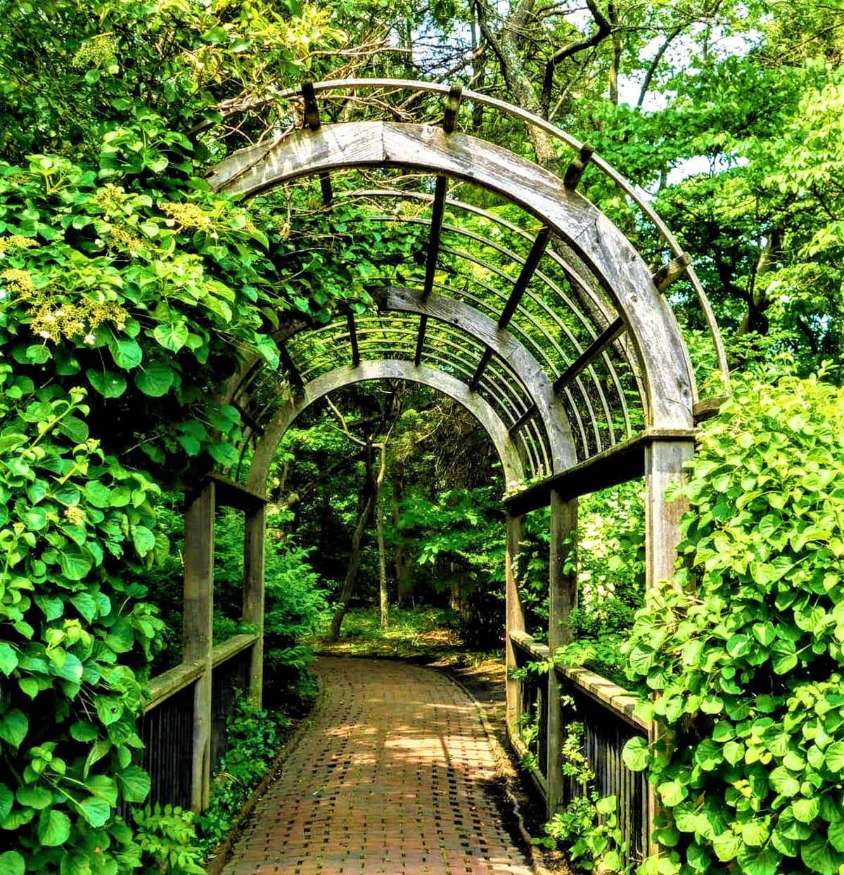 Annual Garden Tour