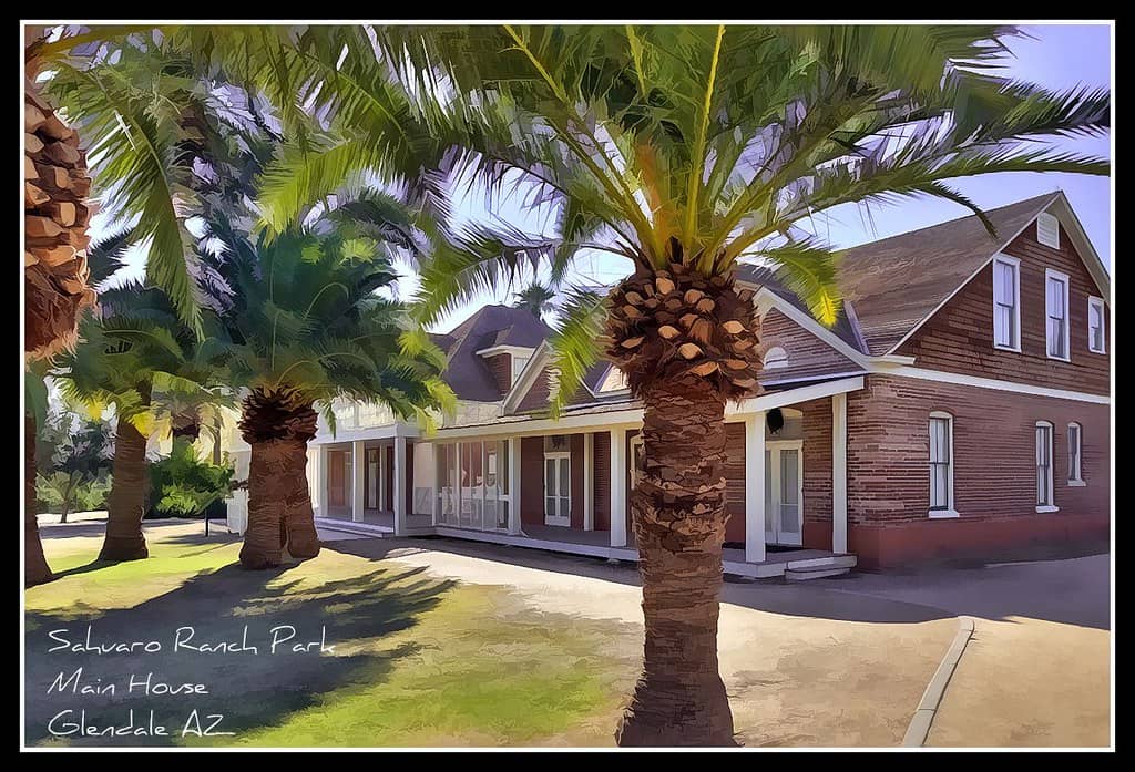 Vibrant Rose Gardens