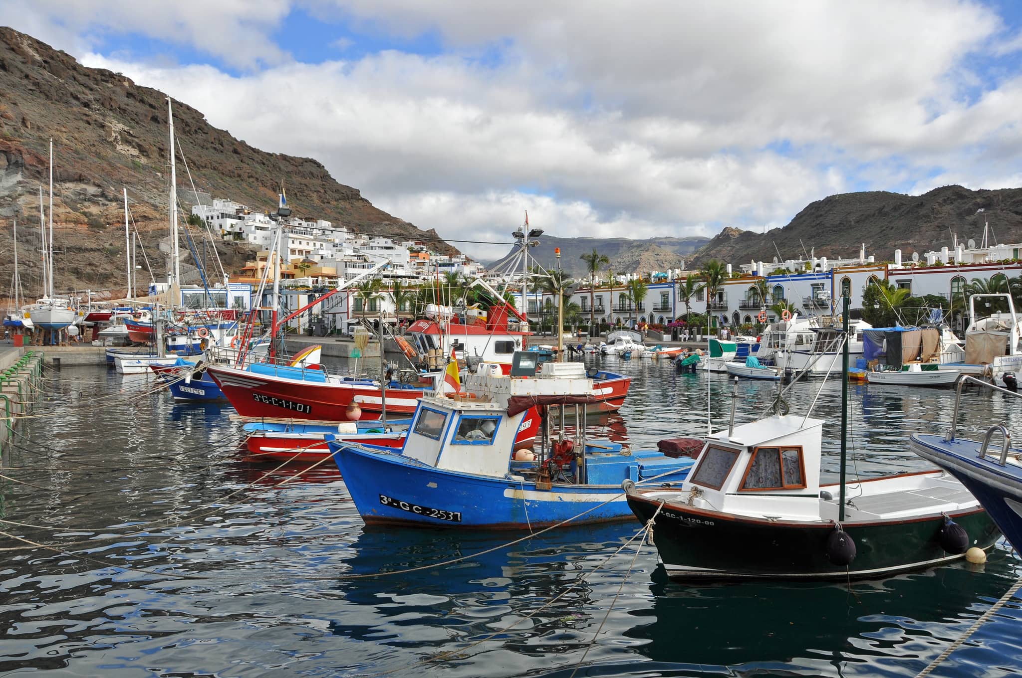 Marina and Fishing Harbor