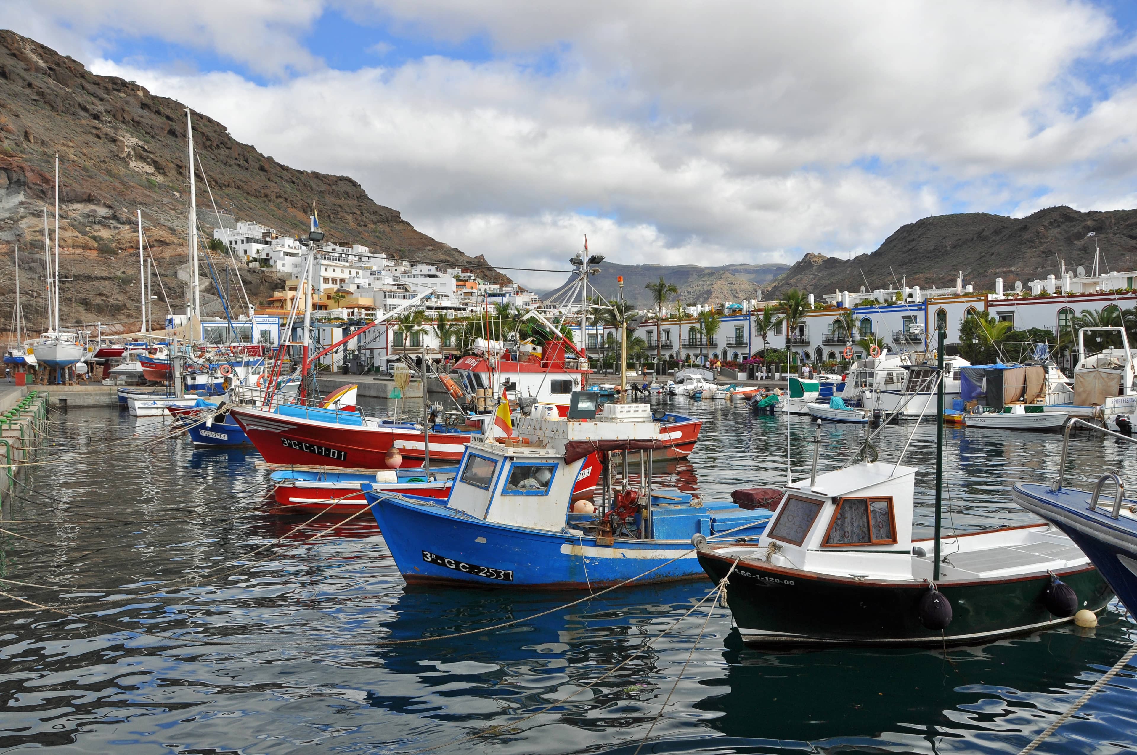 Marina and Fishing Harbor