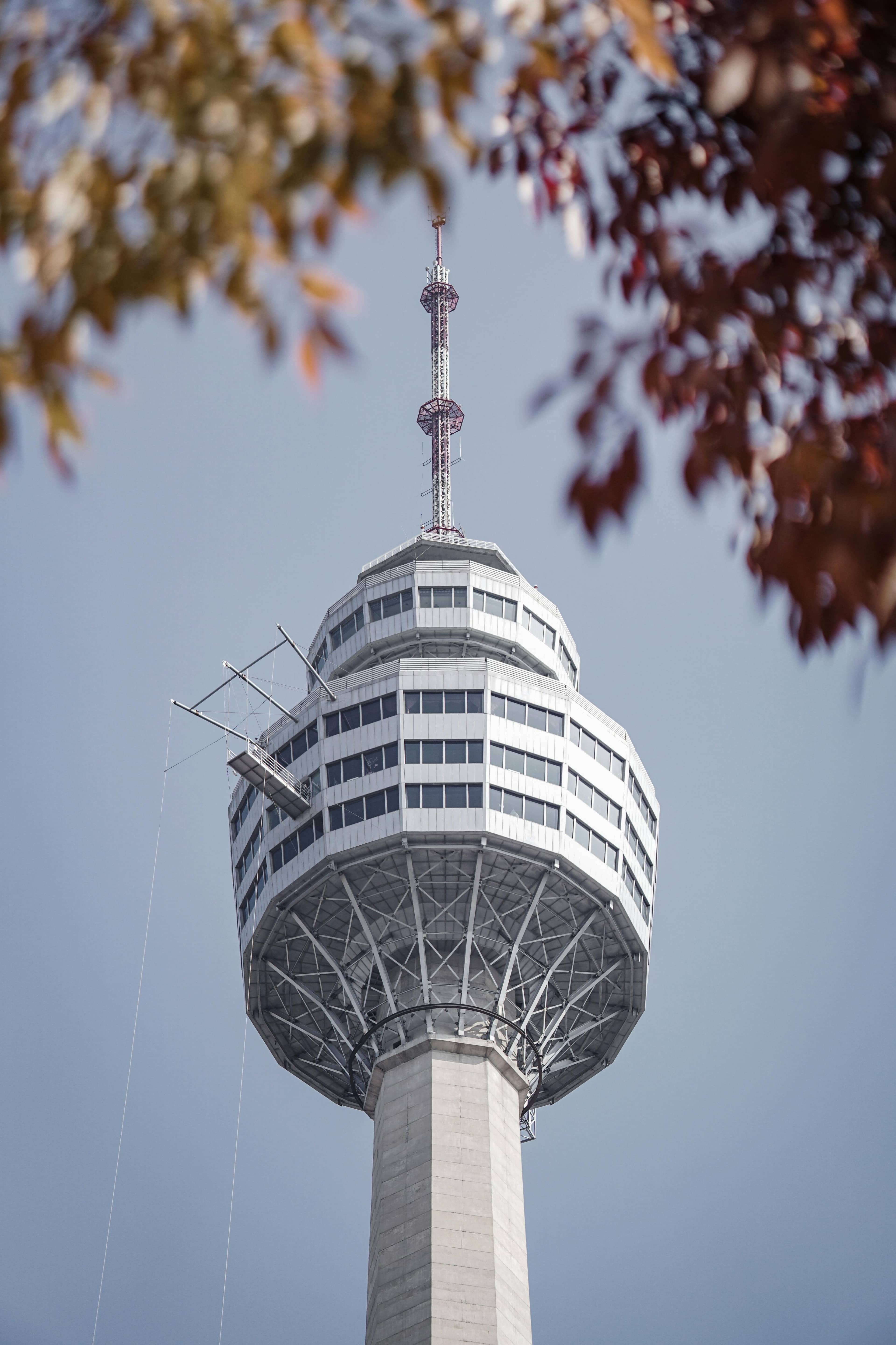 83 Tower Observatory