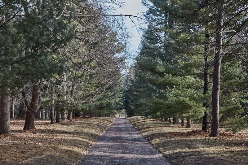 Scenic Walkways