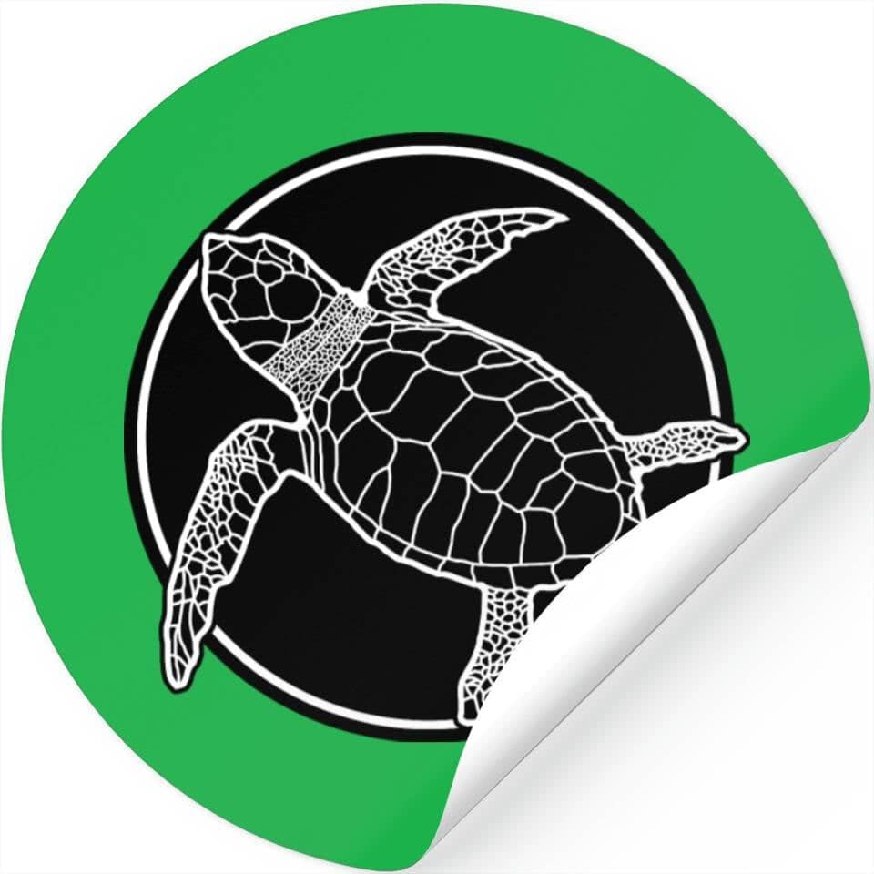 Baby Sea Turtle Release