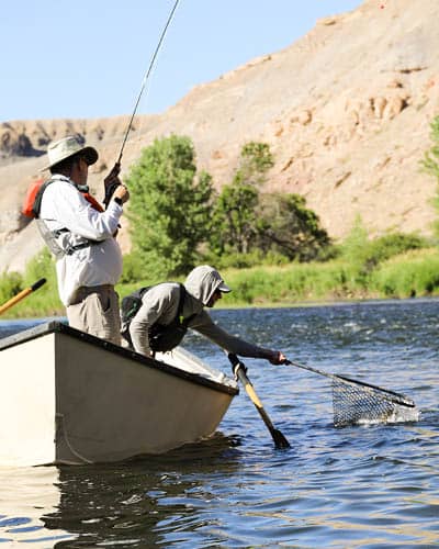 Fishing for Rainbow Trout