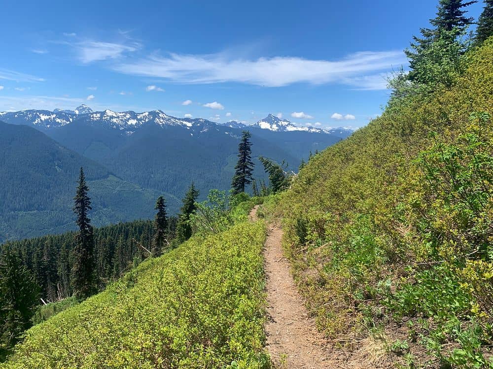 Forest Trail Ascent
