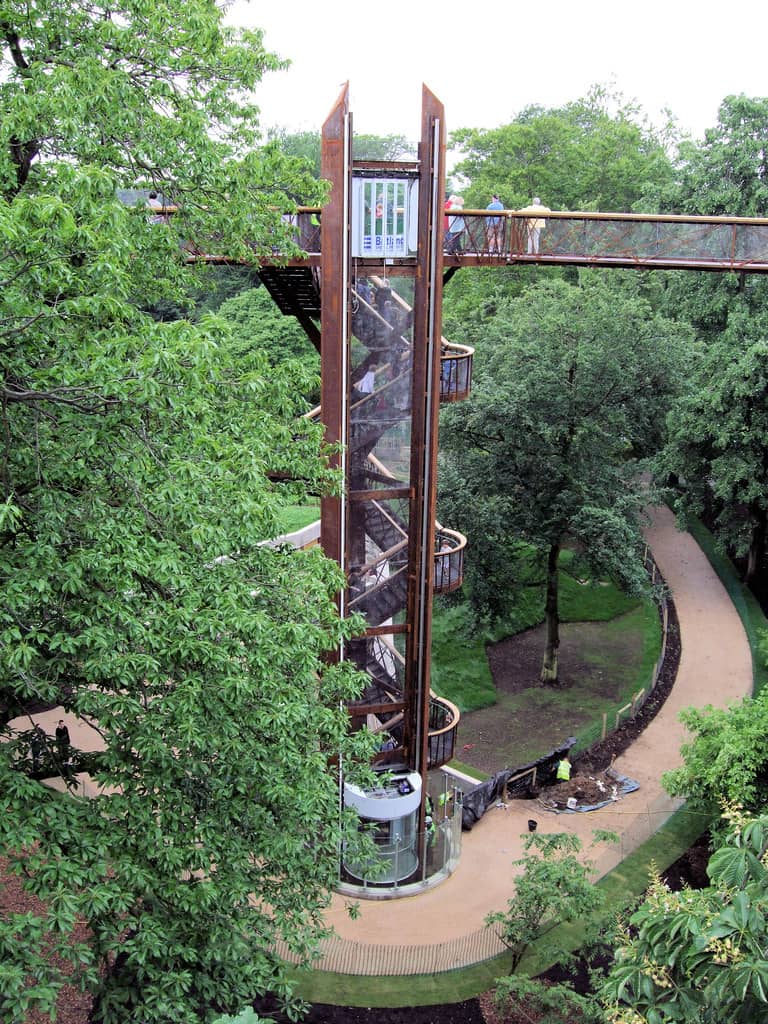 Treetop Walkway