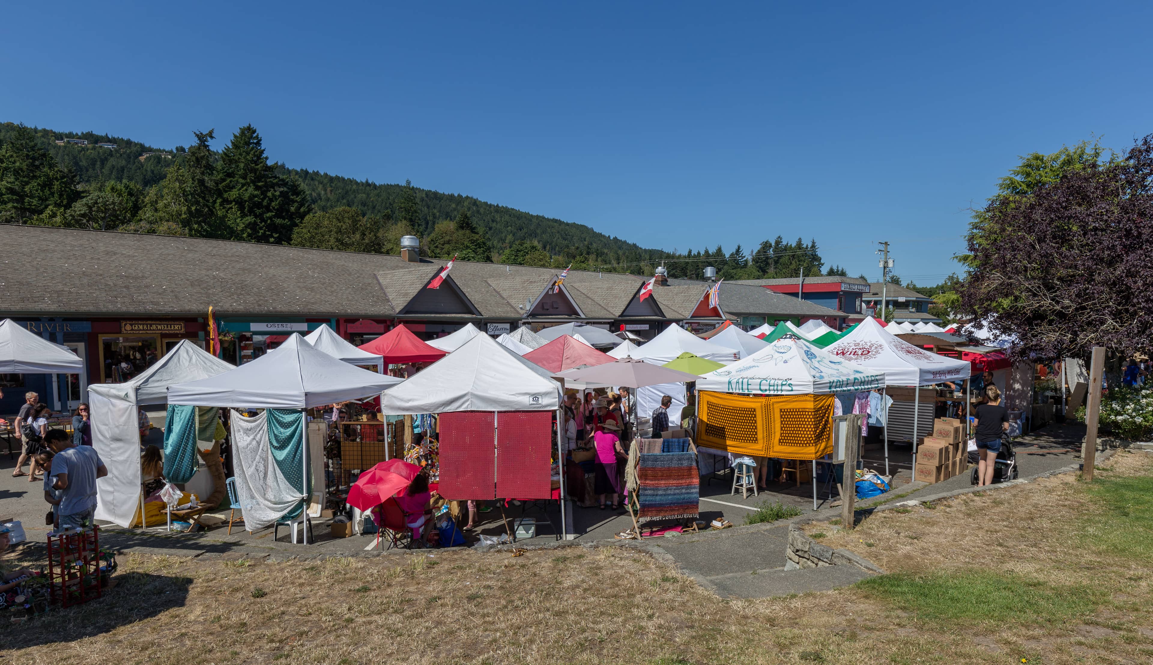 Salt Spring Saturday Market