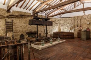 Wine Tasting Experience