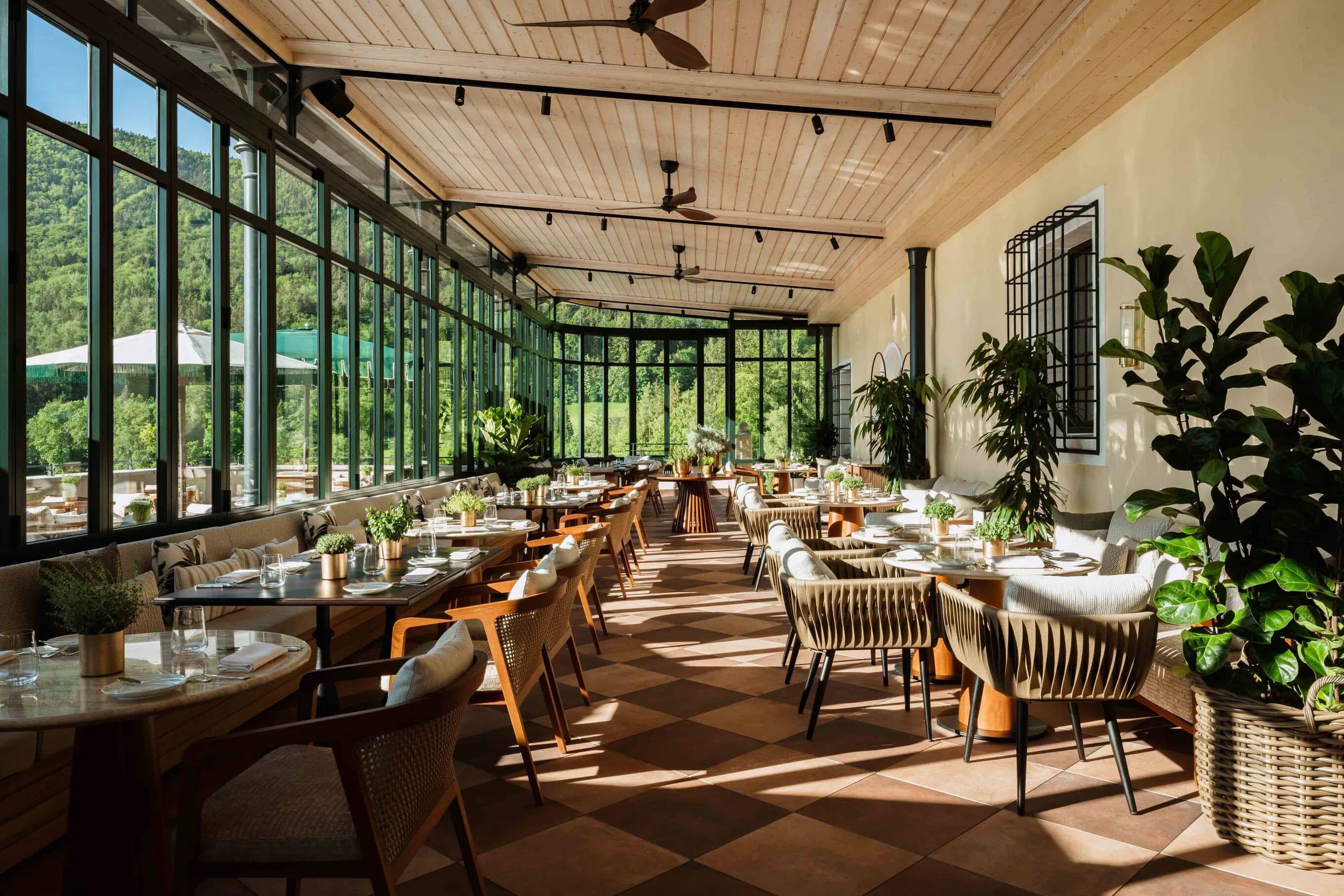 Gourmet Dining Experience