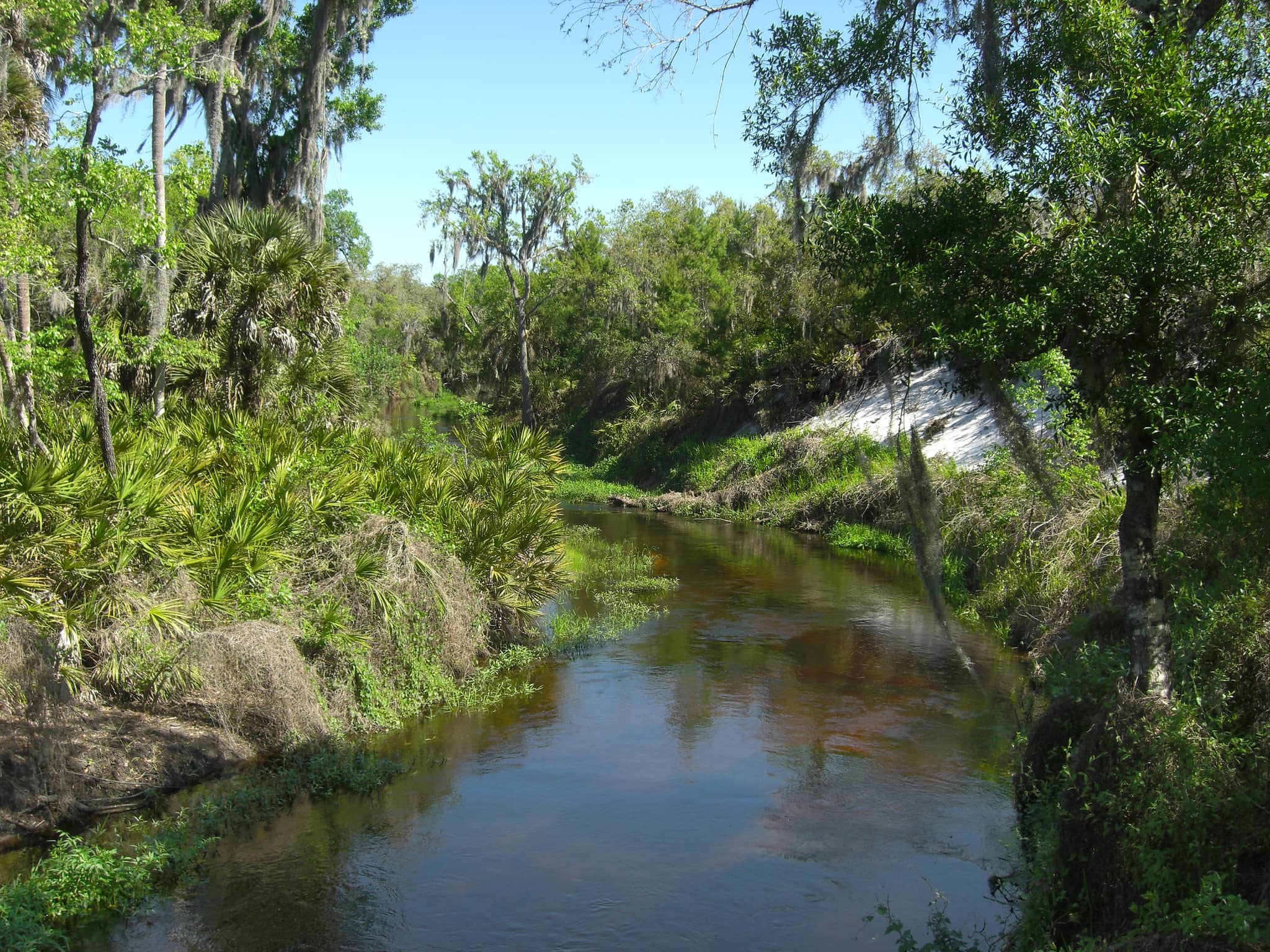 Hiking Trails