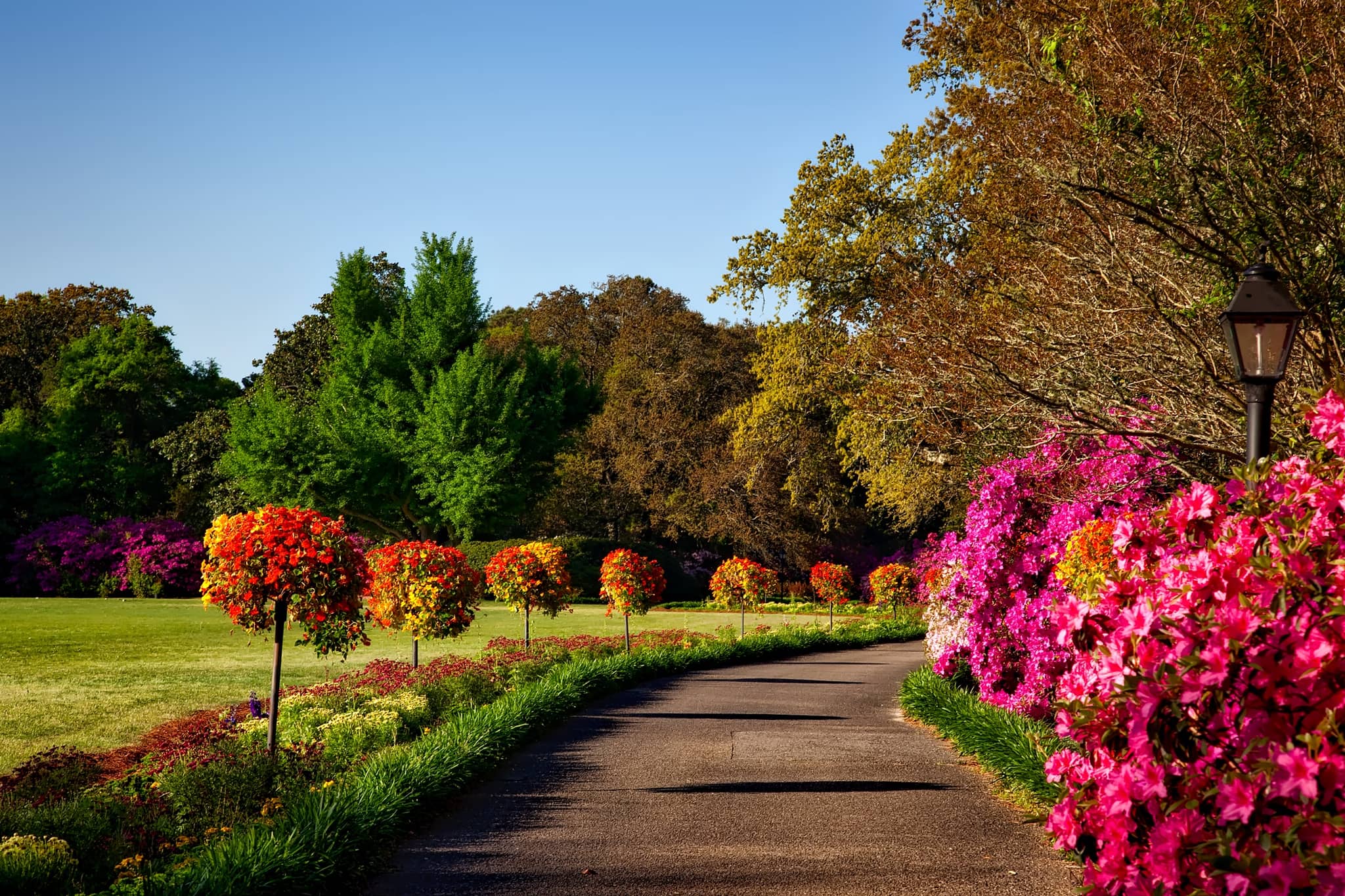 Peaceful Walking Trails