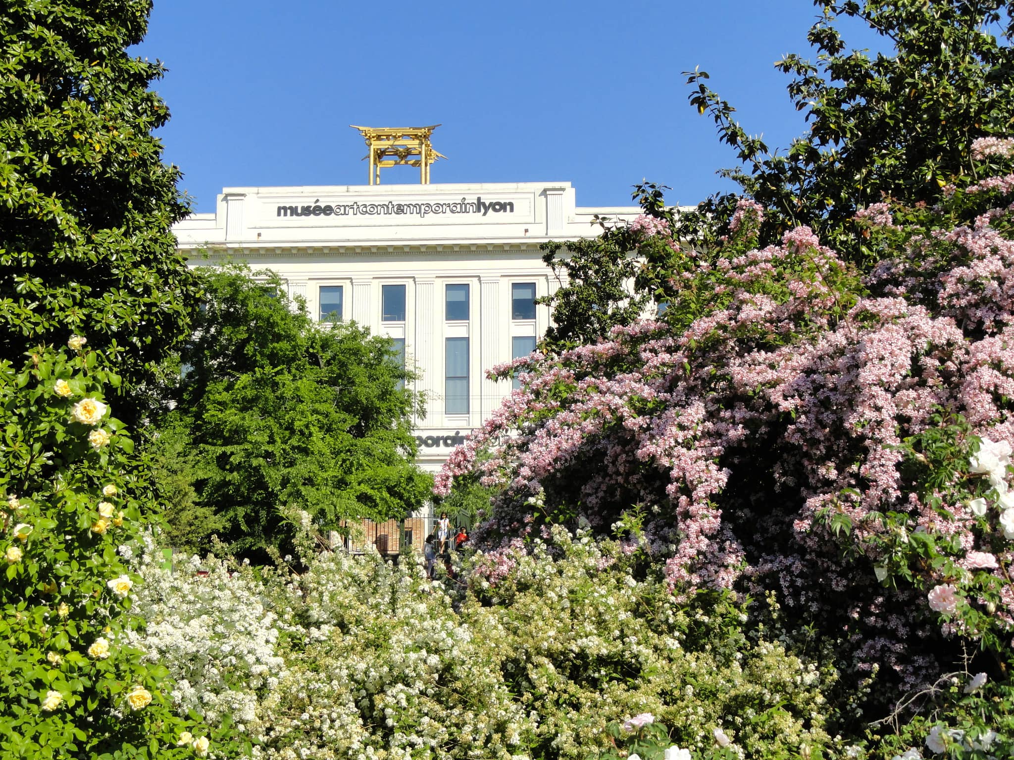 International Rose Garden