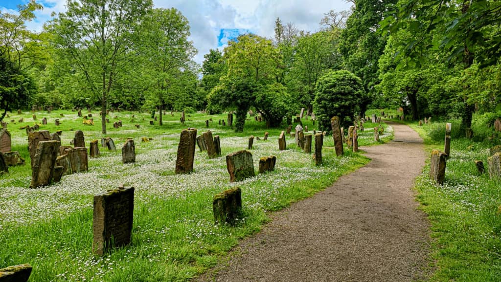 Well-Maintained Grounds