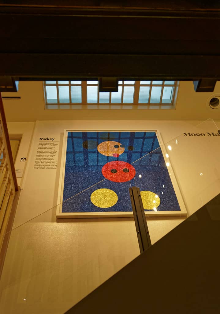 Immersive Art Installations