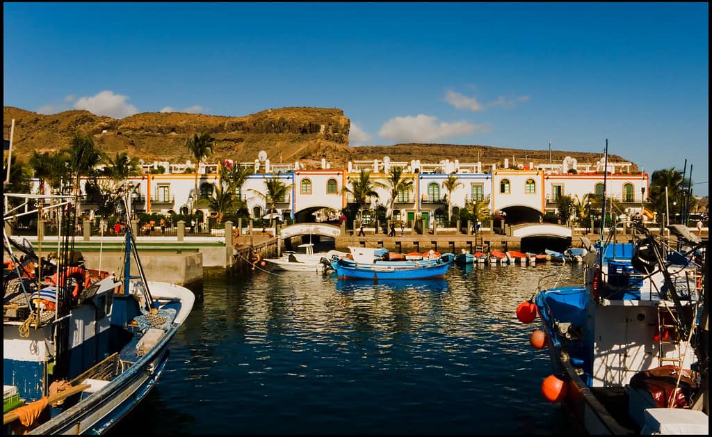 Fishing Harbor