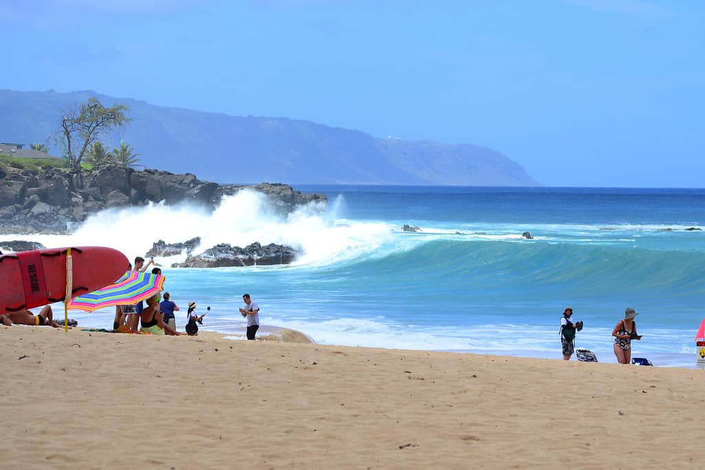 Surfing & Waves