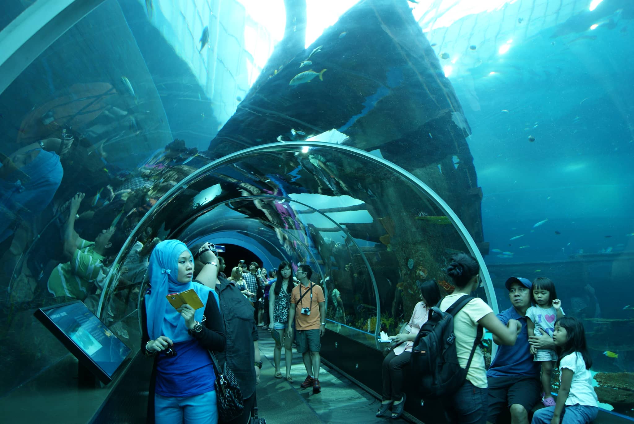 S.E.A. Aquarium