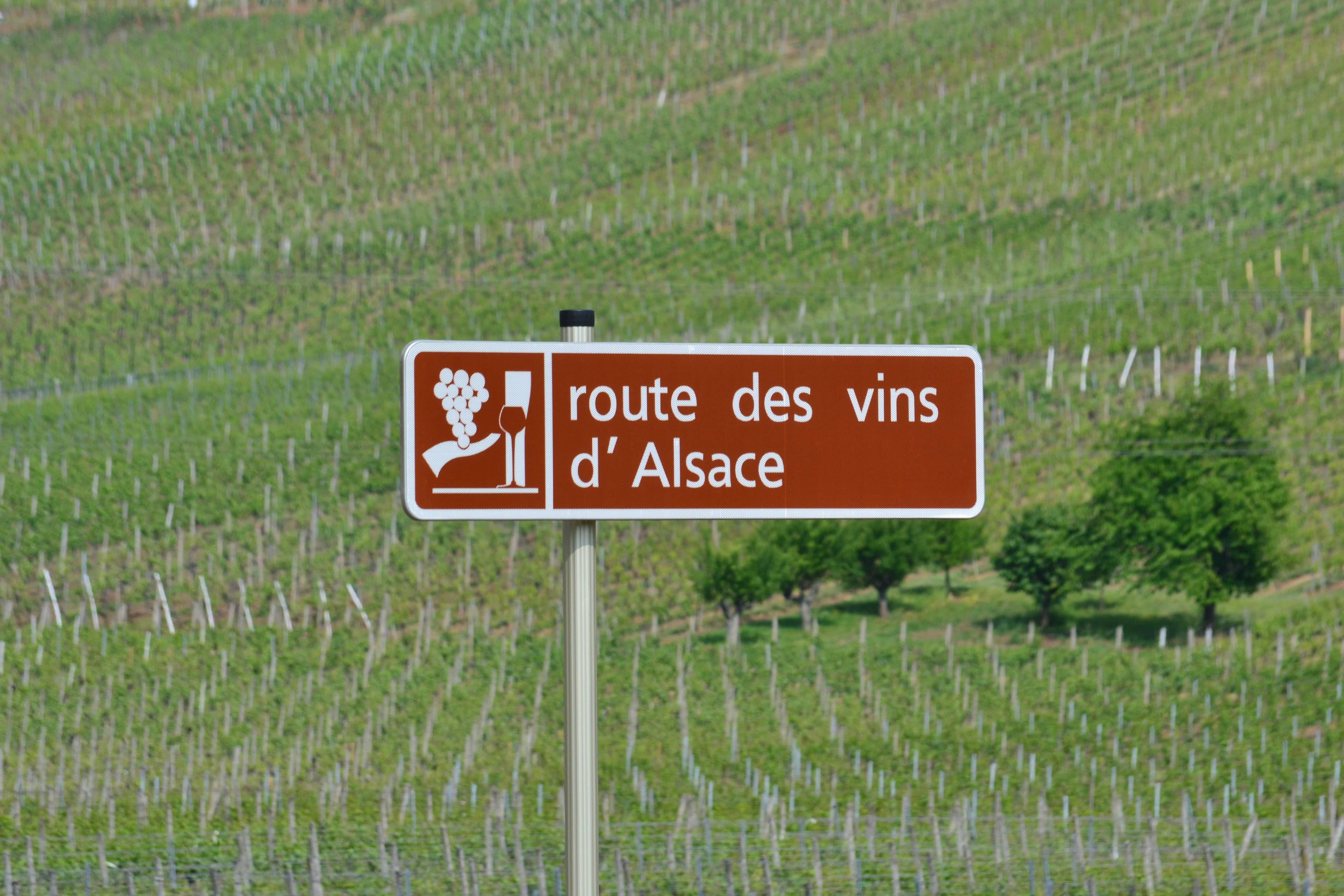 Alsace Wine Route