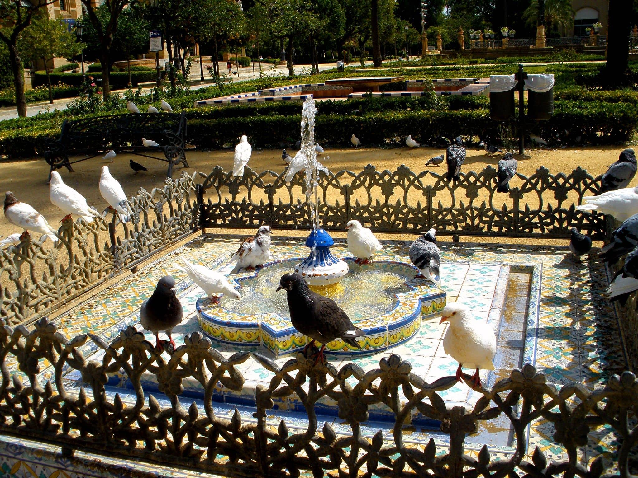 Panoramic Ocean Views