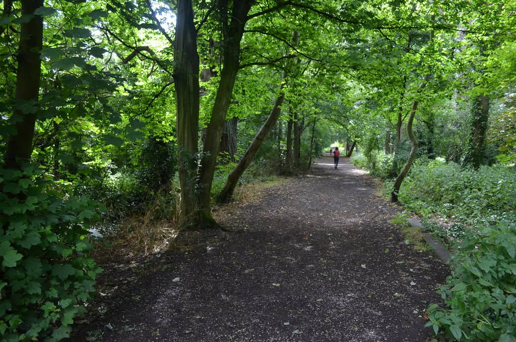Scenic Walking Trails