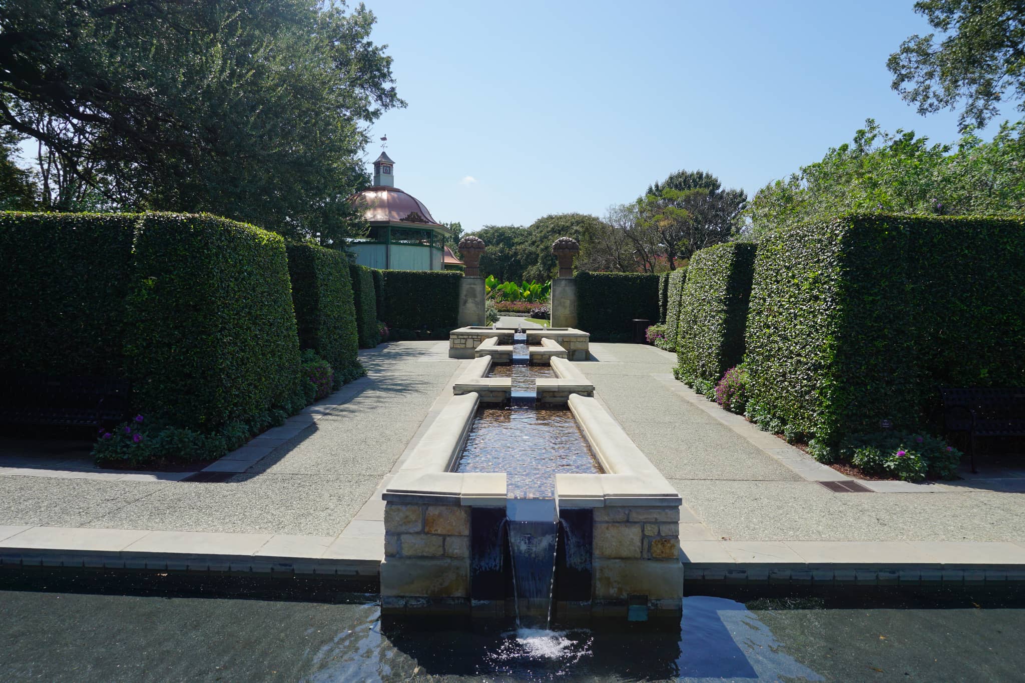 A Woman's Garden
