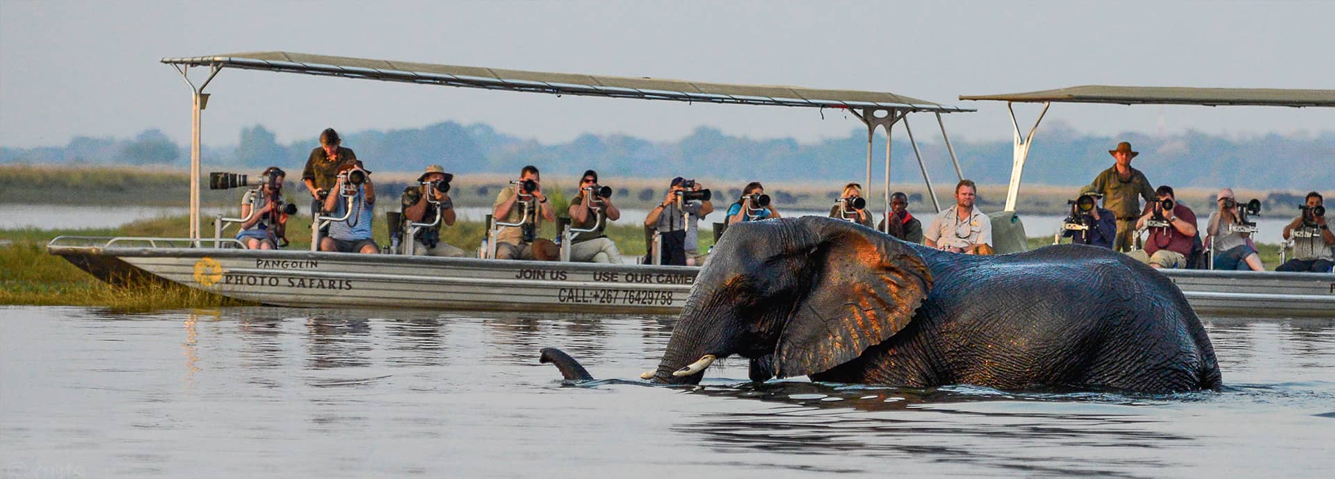 Wildlife and Nature Immersion