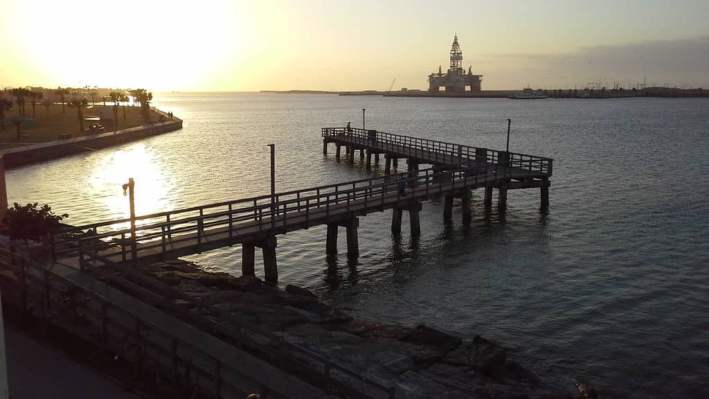 Corpus Christi Ship Channel Views