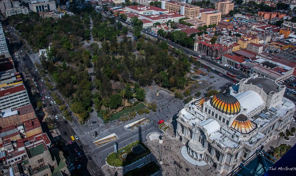 Live Music Performances