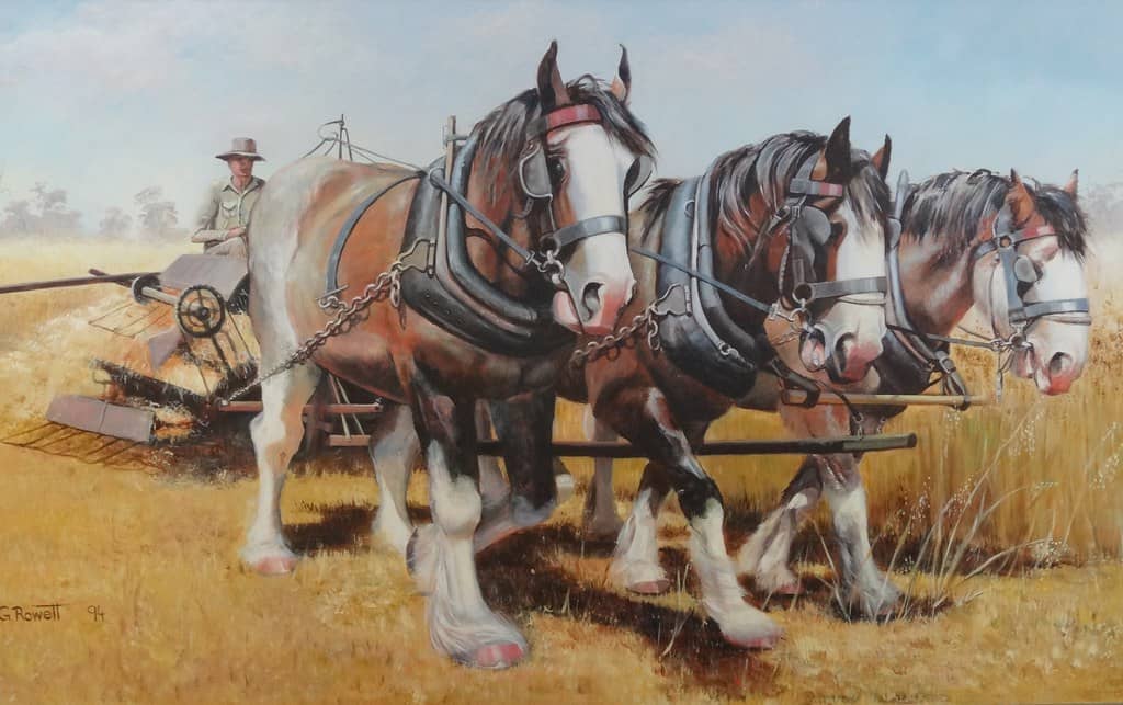 Heartwarming Rescue Stories