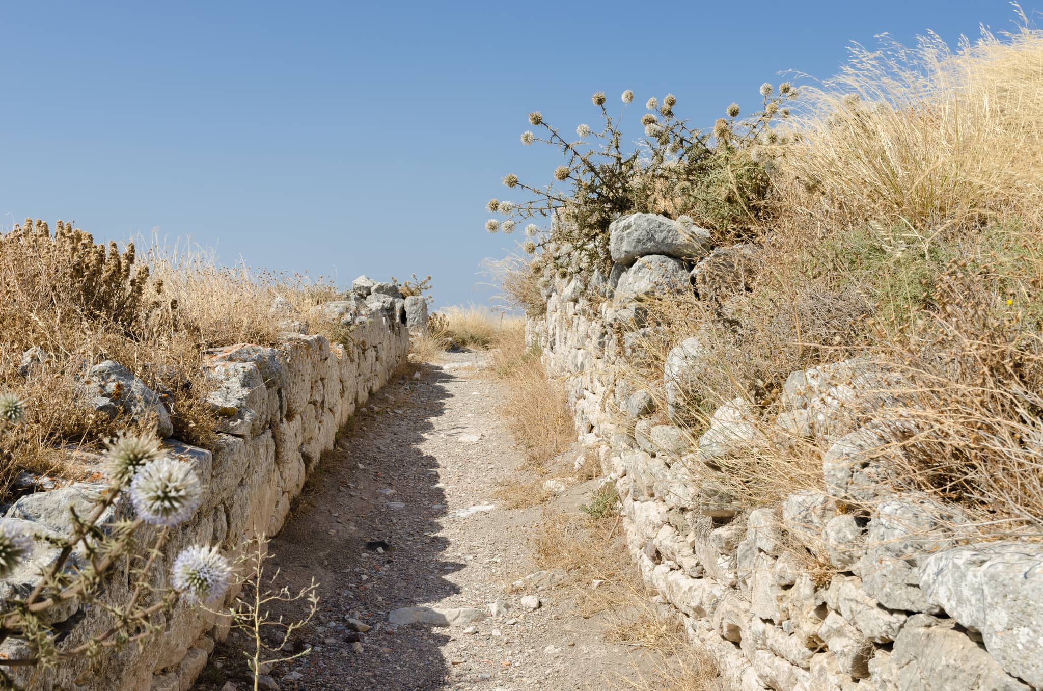 The Winding Ascent