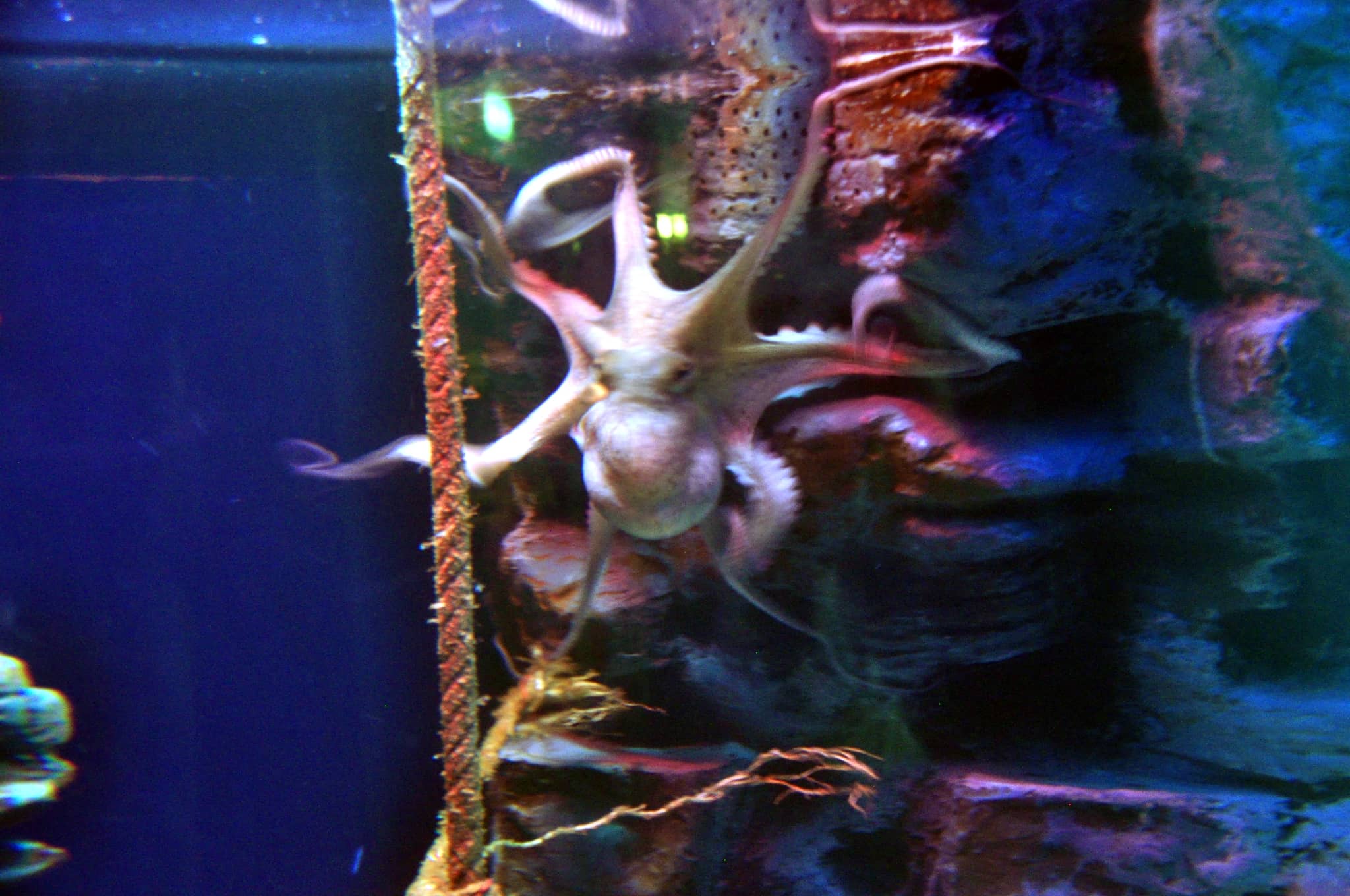 Themed Zones