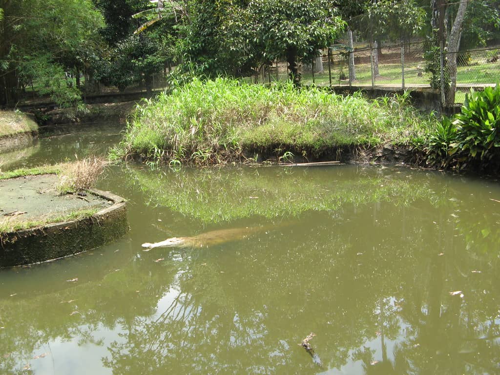 Diverse Animal Sightings