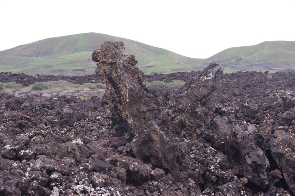 Lava Field Trek