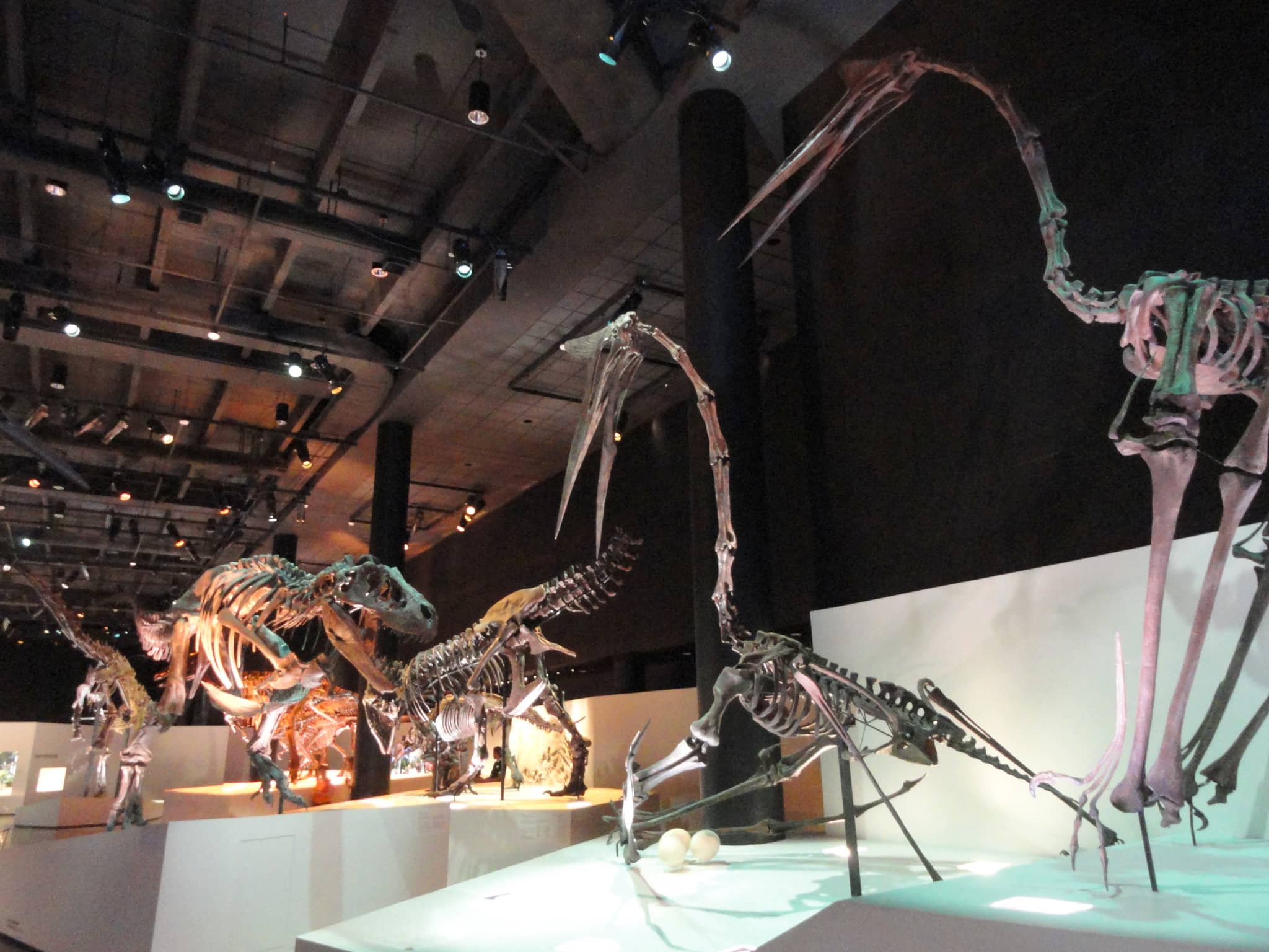 Houston Museum of Natural Science