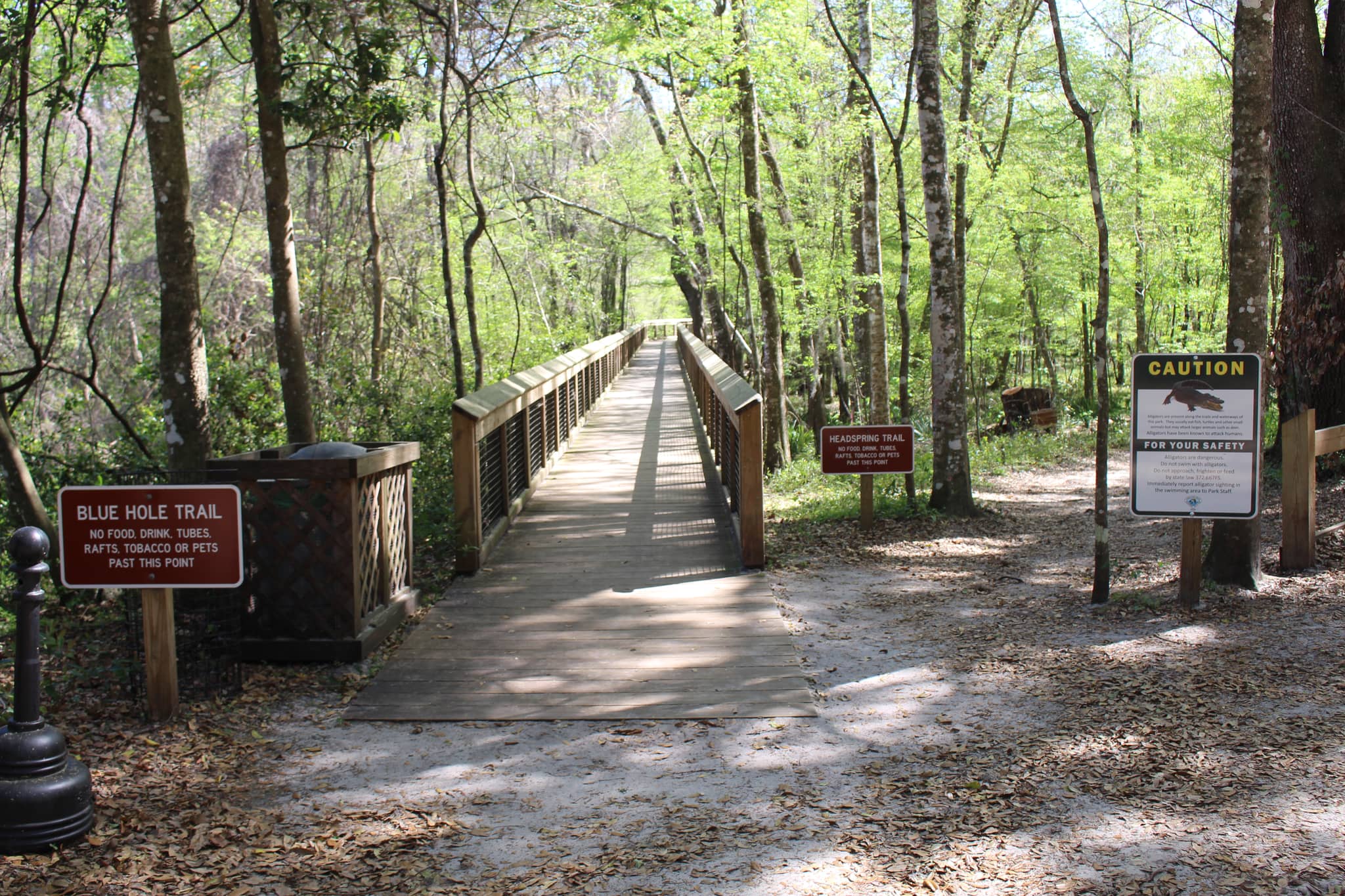Scenic Hiking Trails