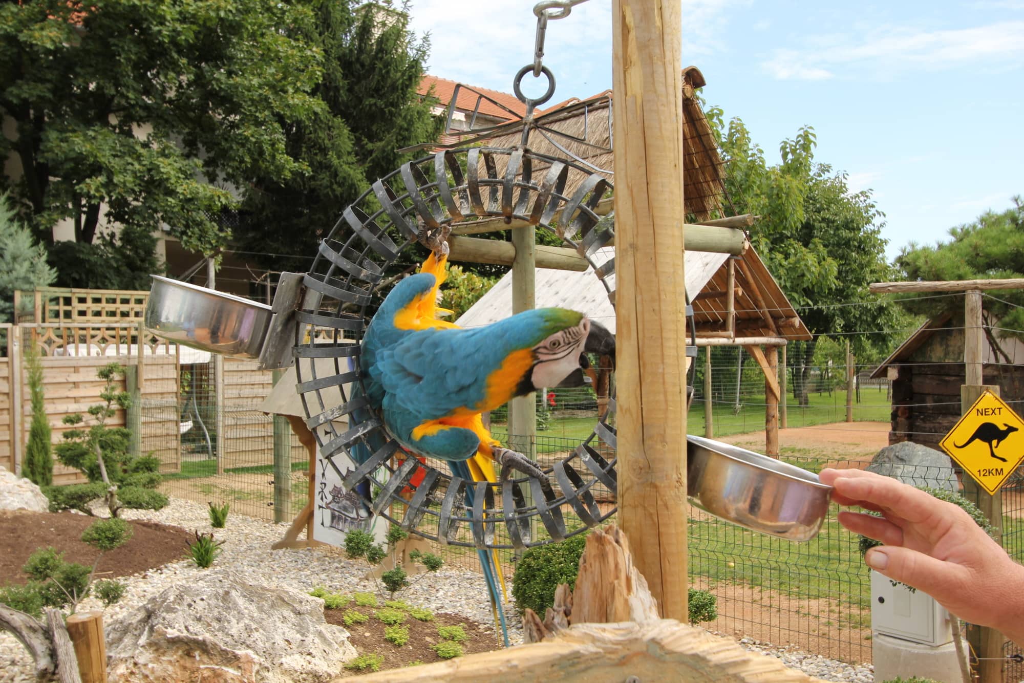 Children's Playgrounds