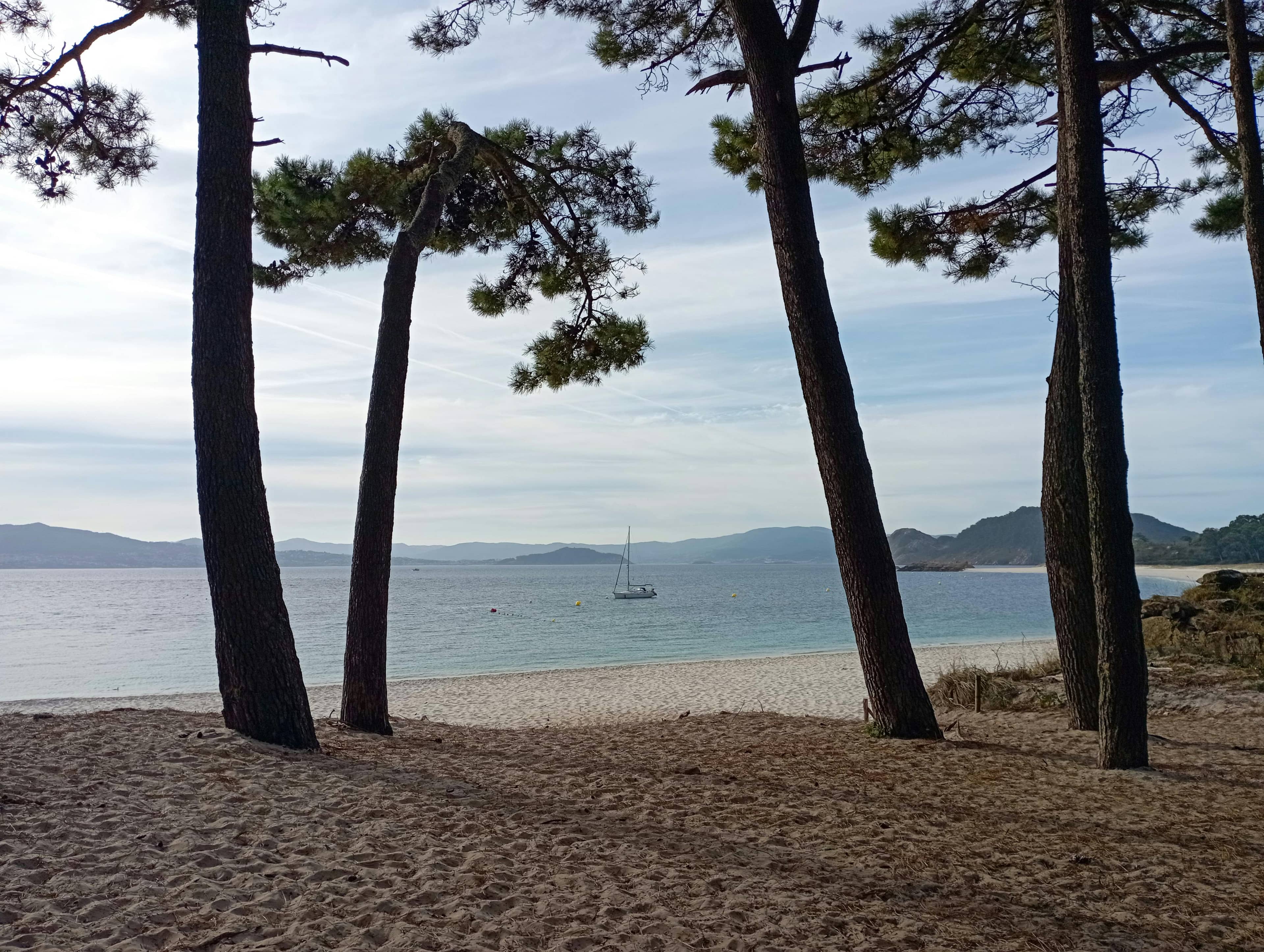 Abundant Natural Shade