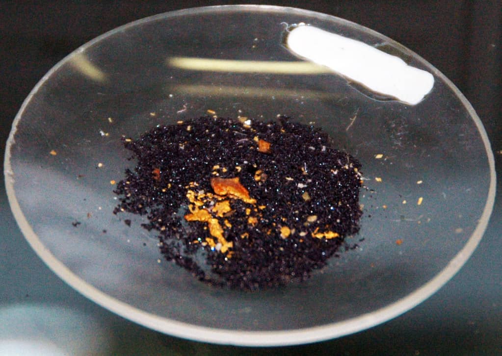 Gold Panning