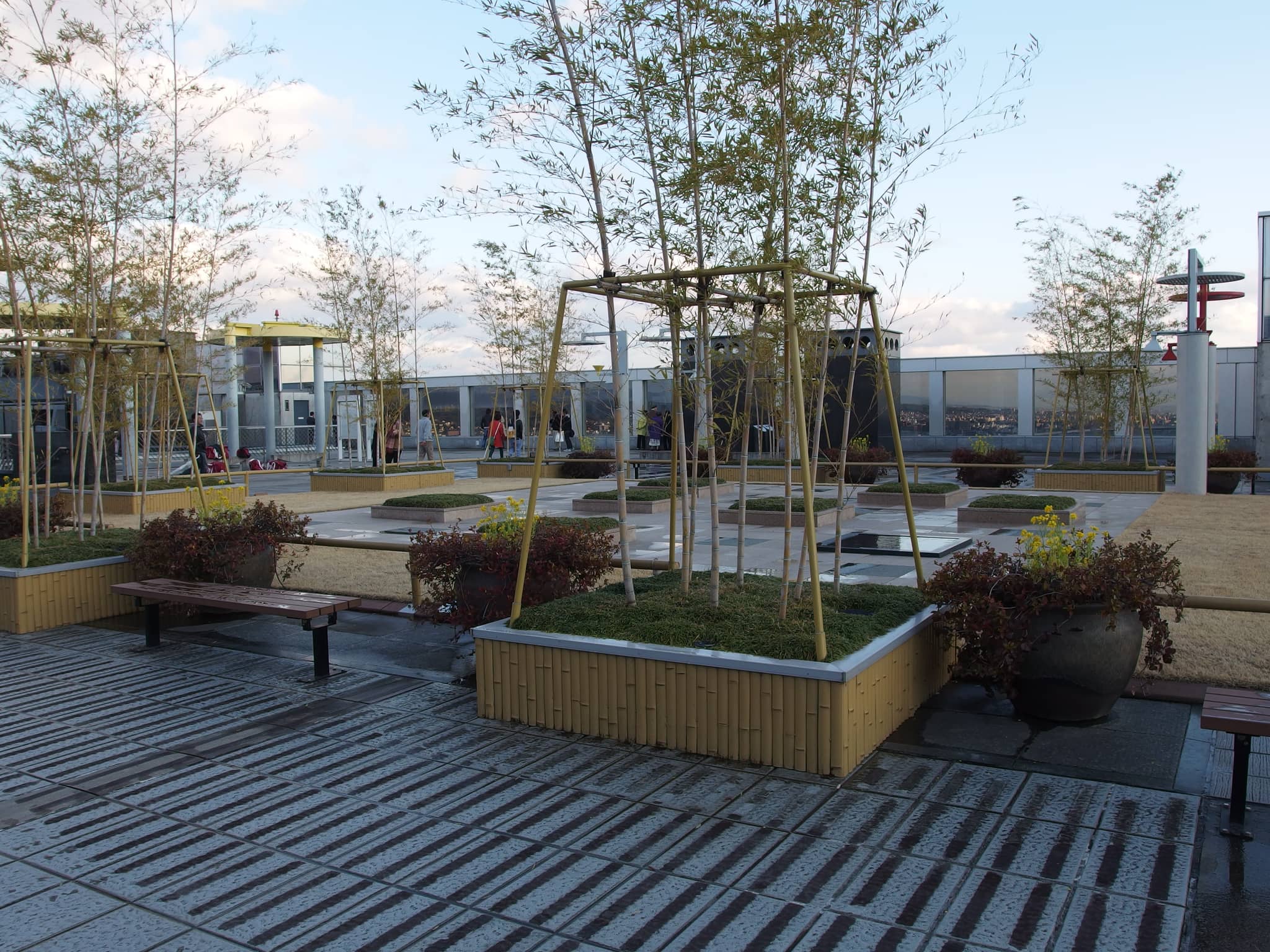 Rooftop Garden