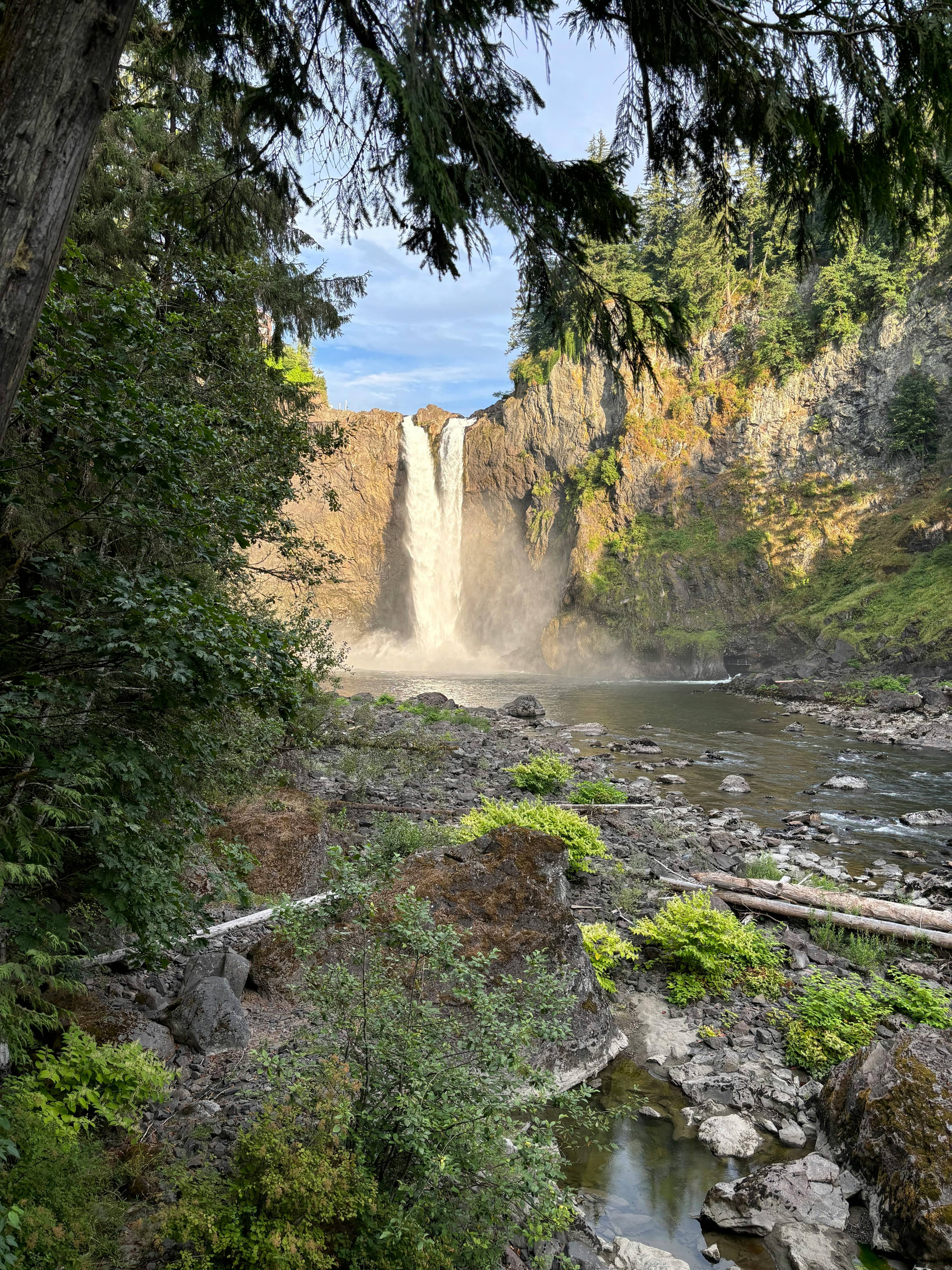 Forest Trail to River