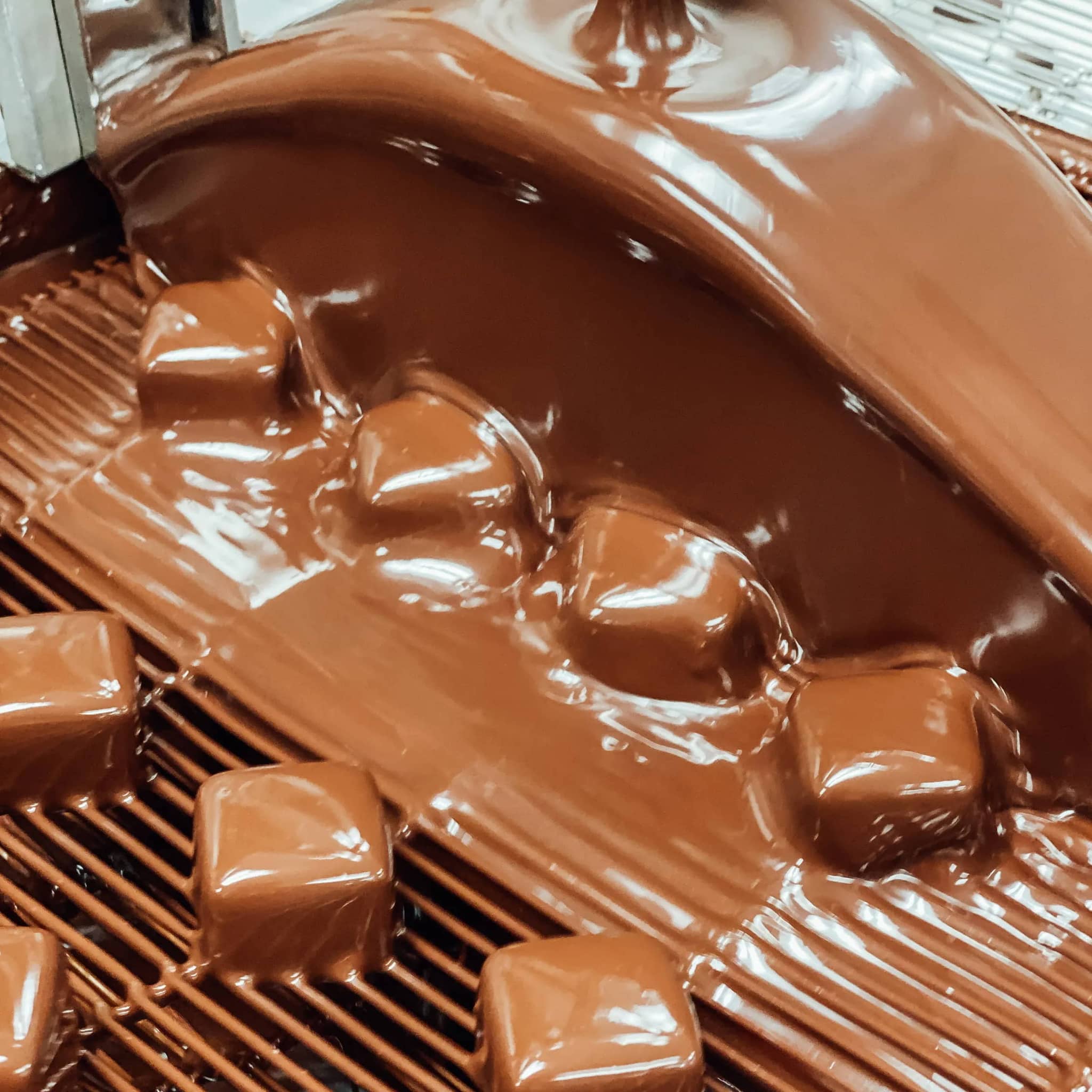 Chocolate Tastings