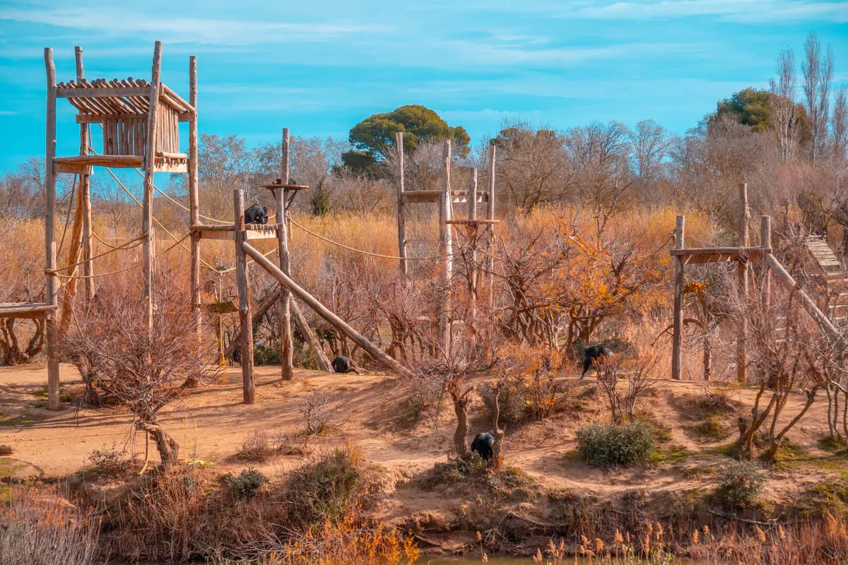 Inclusive Playground Fun