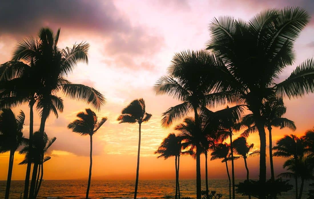 Sunset Views