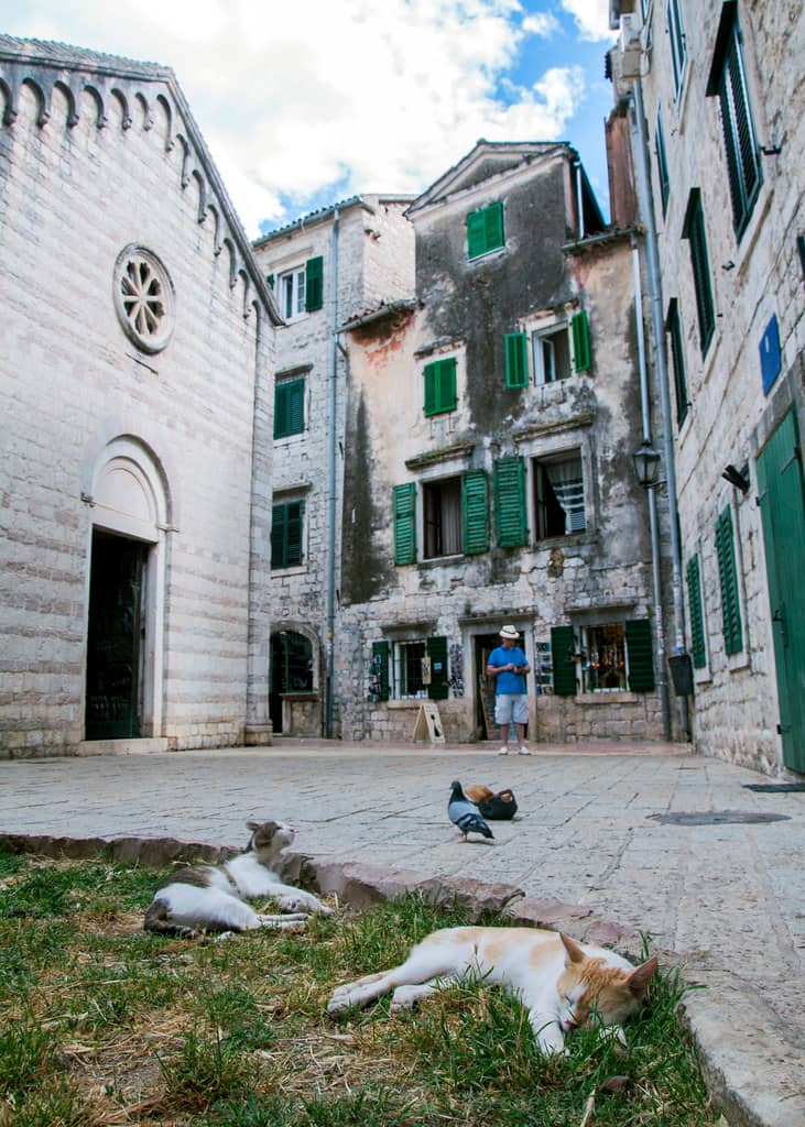 Medieval and Renaissance History