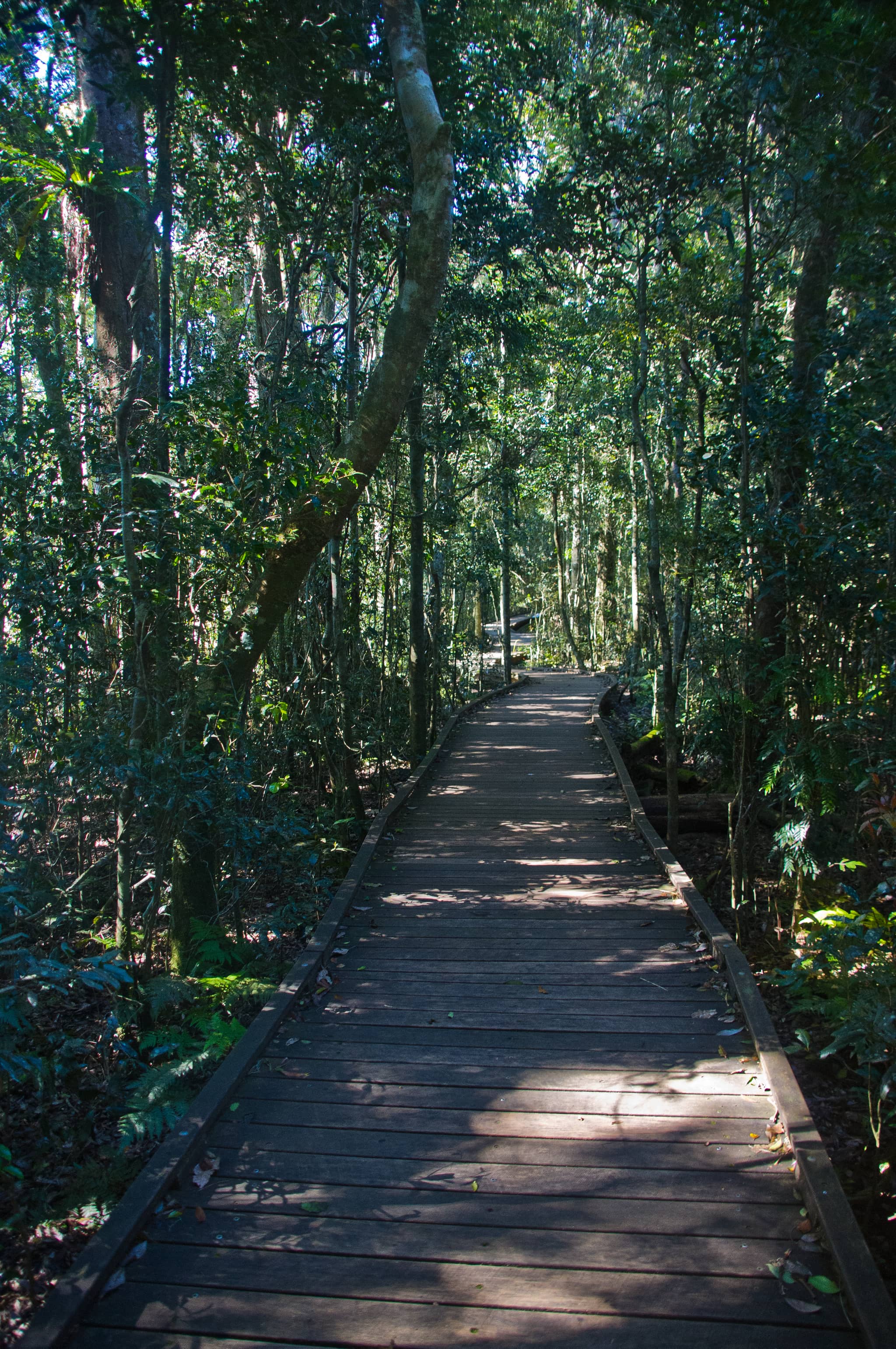 Scenic Walking Trails