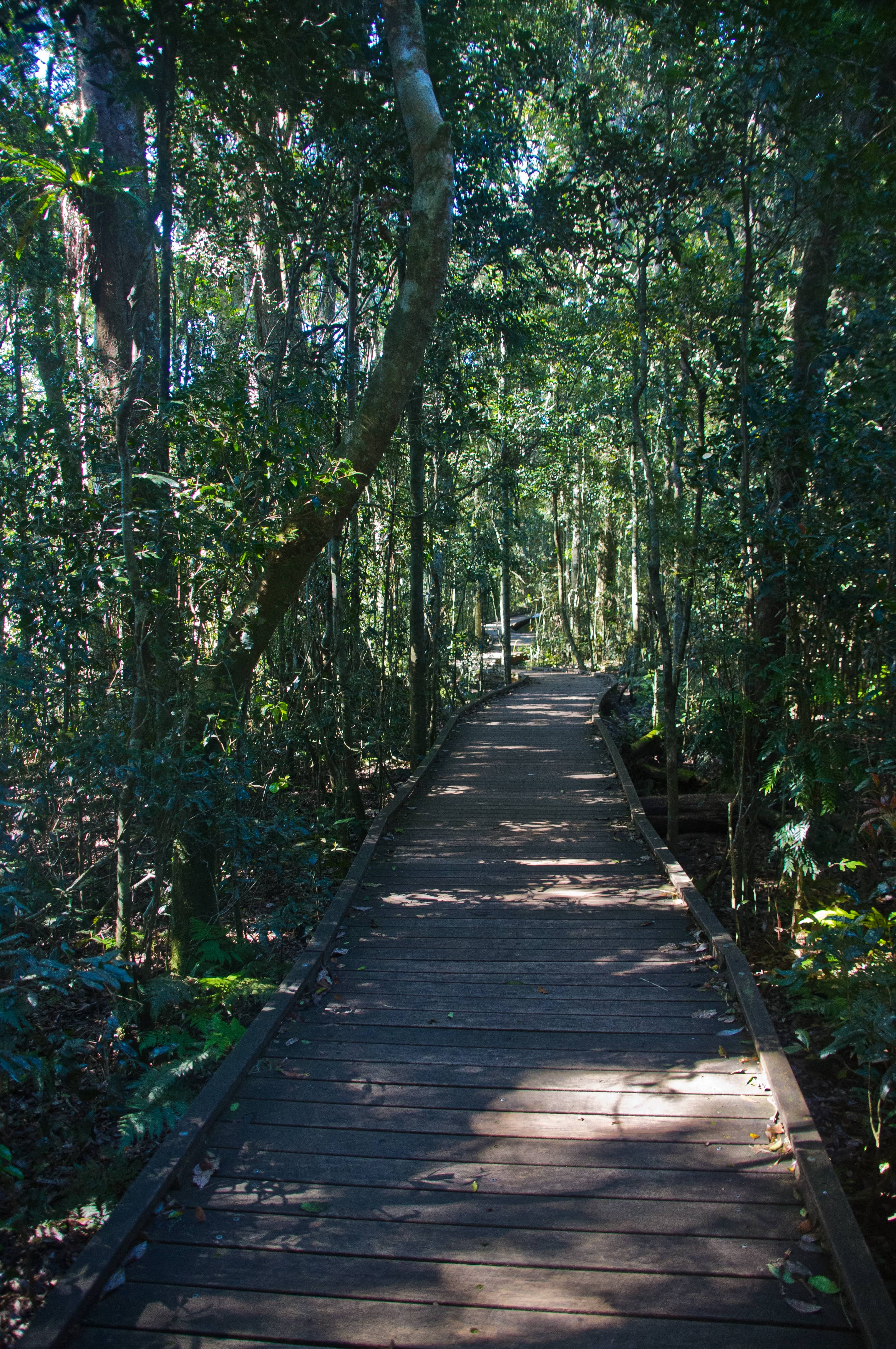 Scenic Walking Trails