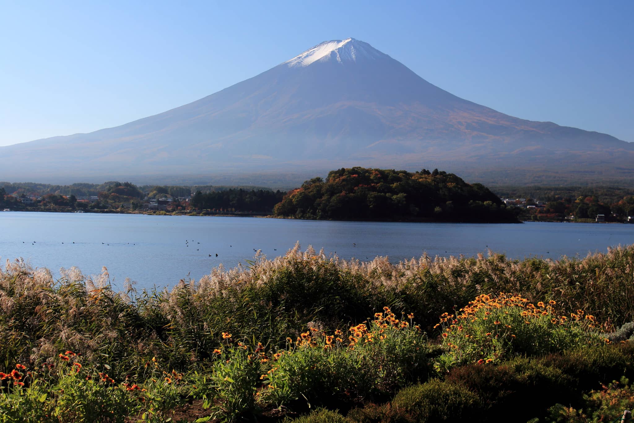 Oishi Park